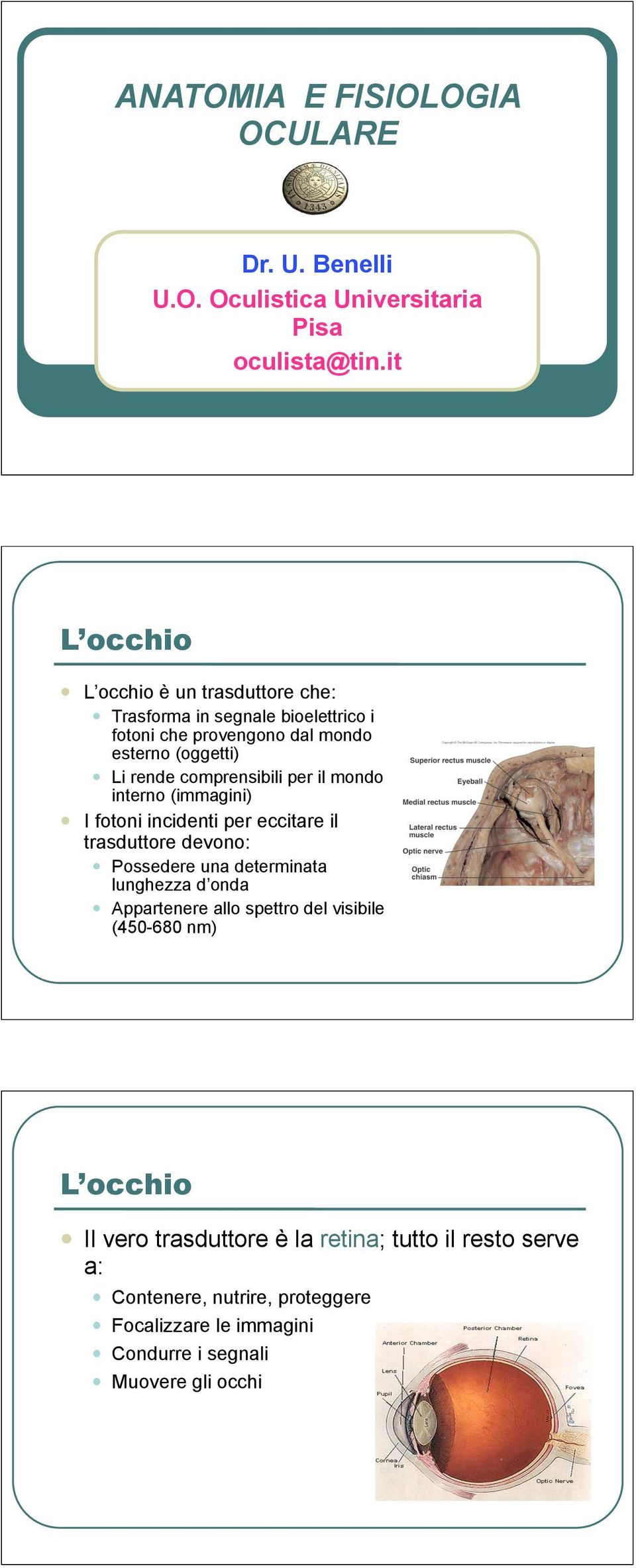 comprensibili per il mondo interno (immagini) I fotoni incidenti per eccitare il trasduttore devono: Possedere una determinata lunghezza d onda