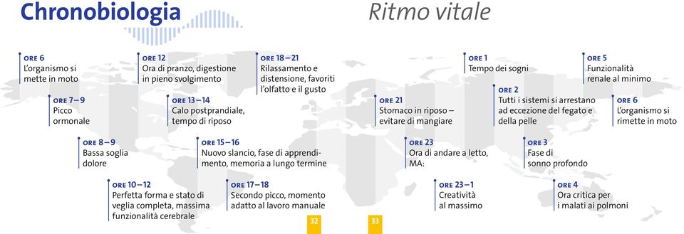 ore 5 Funzionalità renale al minimo ore 6 L organismo si rimette in moto ore 8 9 Bassa soglia dolore ore 15 16 Nuovo slancio, fase di apprendimento, memoria a lungo termine ore 23 Ora di andare a