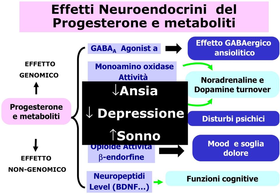 Depressione Serotonina Turnover Sonno Opioide Attività β-endorfine Neuropeptidi Level (BDNF ) Effetto