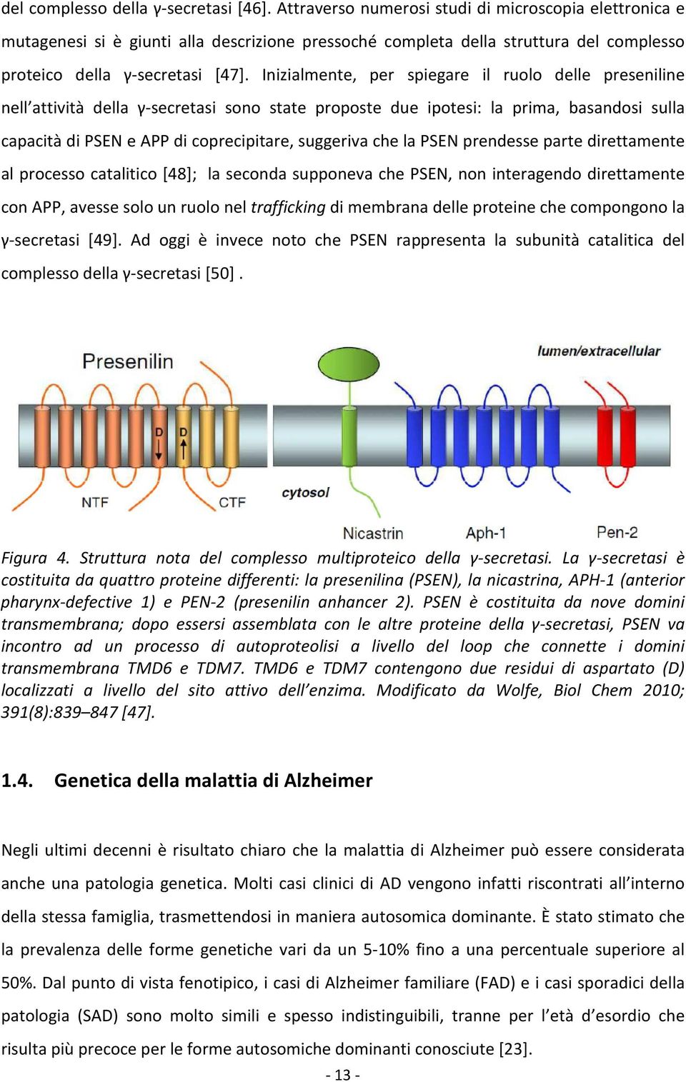 Inizialmente, per spiegare il ruolo delle preseniline nell attività della γ-secretasi sono state proposte due ipotesi: la prima, basandosi sulla capacità di PSEN e APP di coprecipitare, suggeriva che