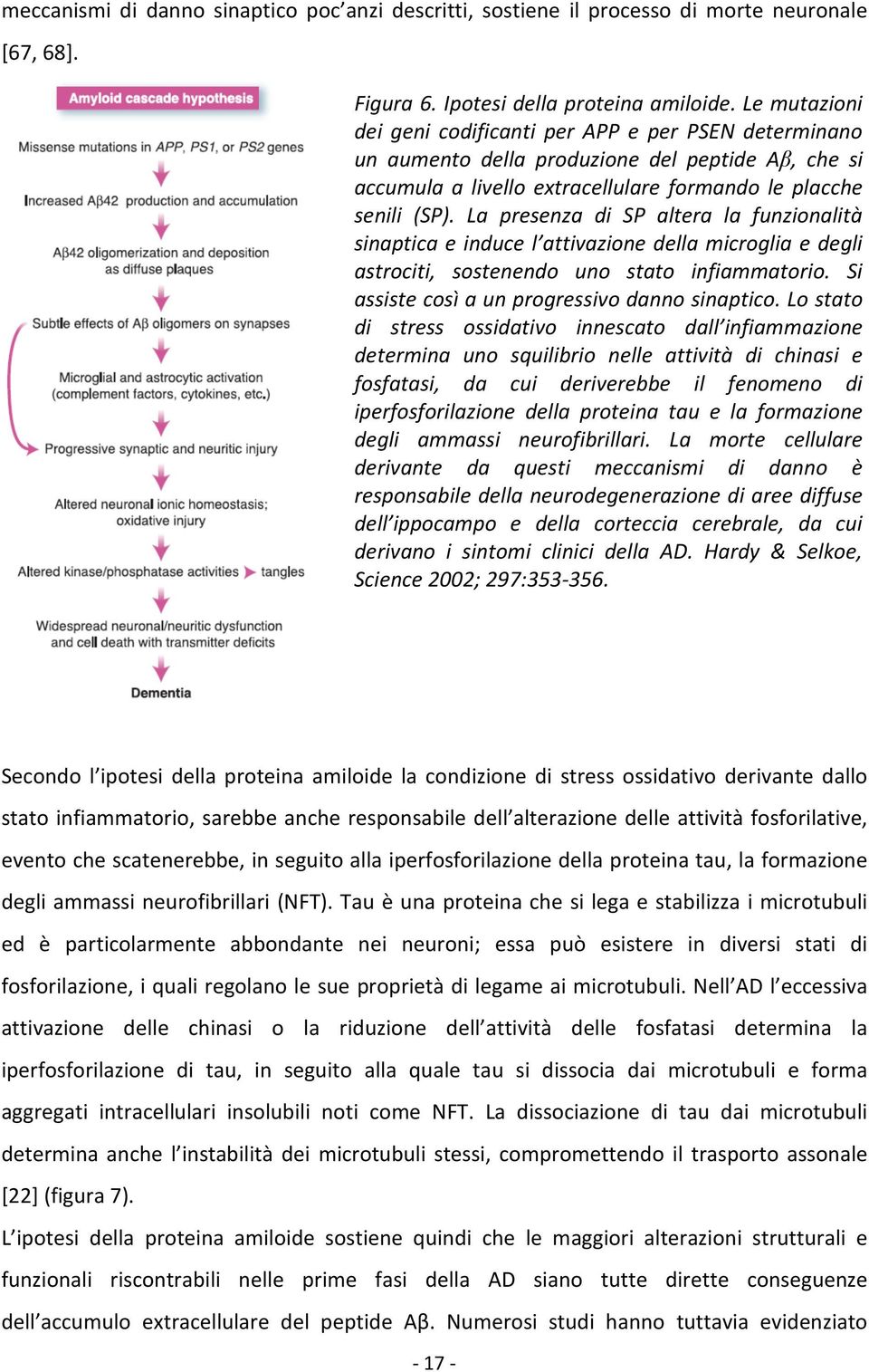 La presenza di SP altera la funzionalità sinaptica e induce l attivazione della microglia e degli astrociti, sostenendo uno stato infiammatorio. Si assiste così a un progressivo danno sinaptico.