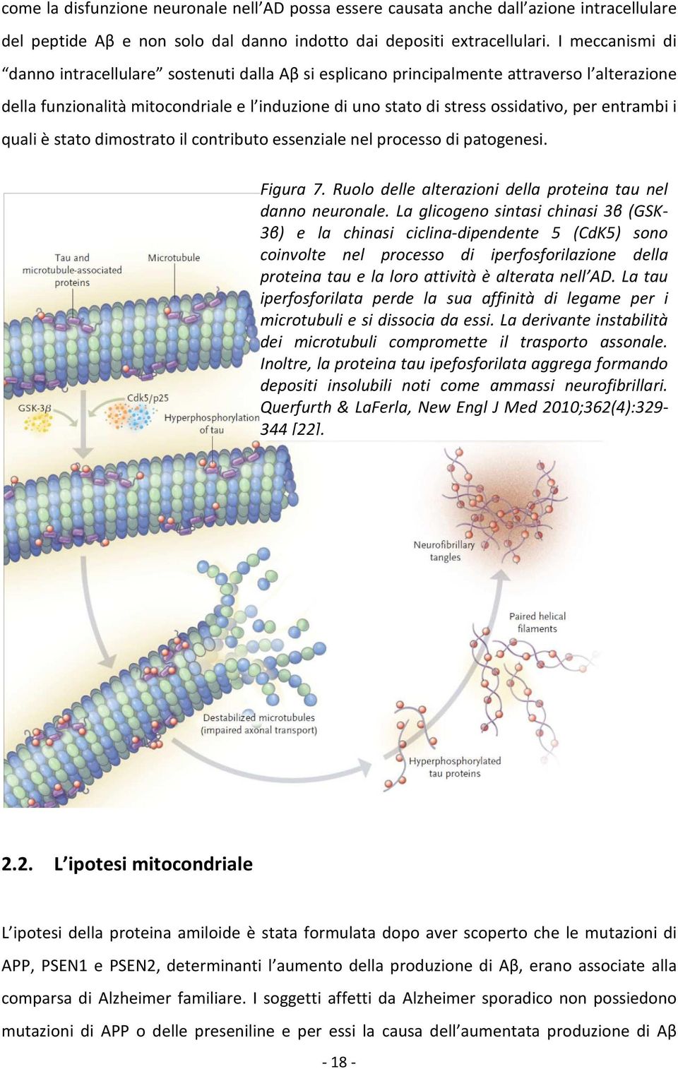 entrambi i quali è stato dimostrato il contributo essenziale nel processo di patogenesi. Figura 7. Ruolo delle alterazioni della proteina tau nel danno neuronale.