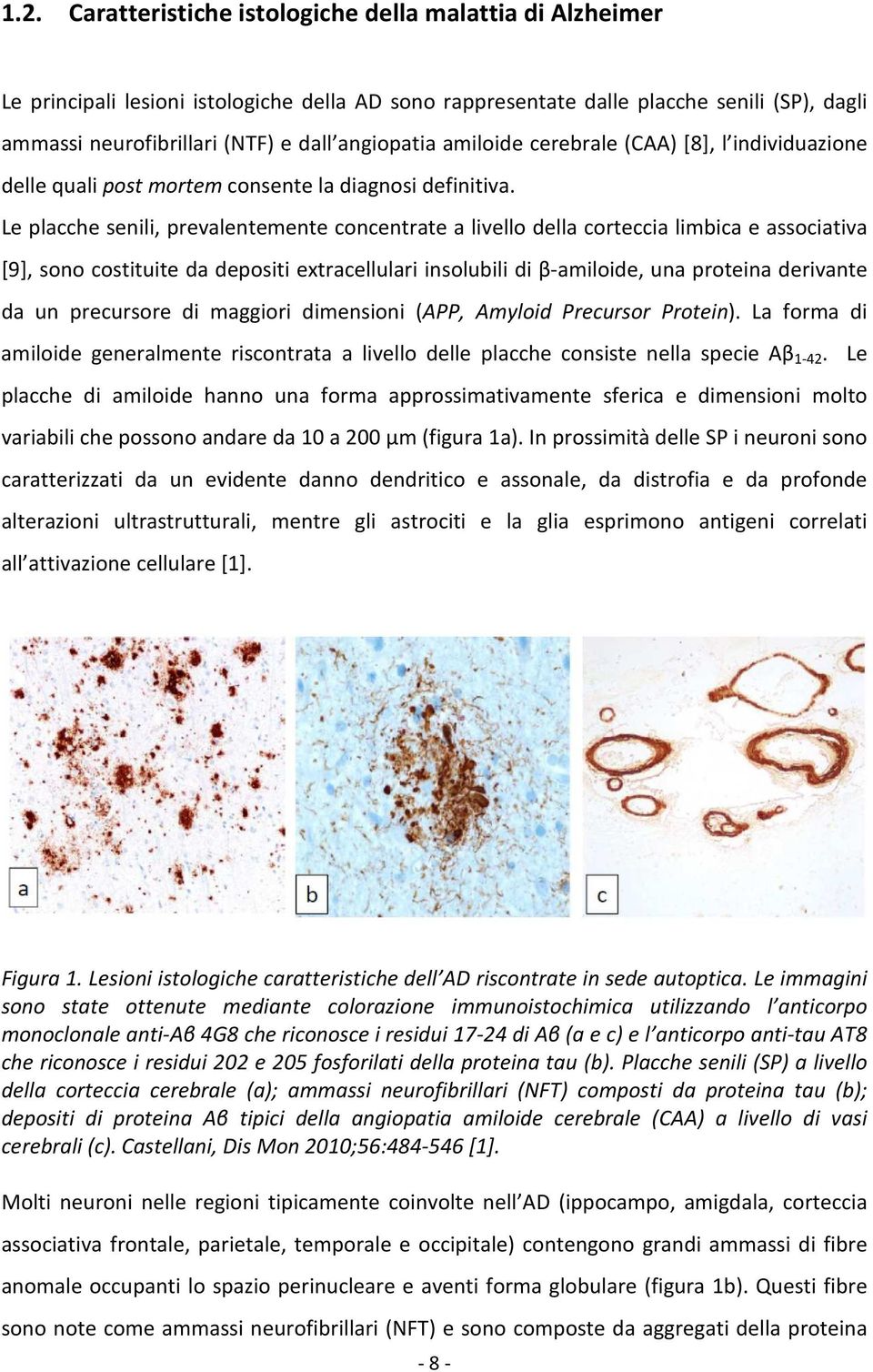 Le placche senili, prevalentemente concentrate a livello della corteccia limbica e associativa [9], sono costituite da depositi extracellulari insolubili di β-amiloide, una proteina derivante da un