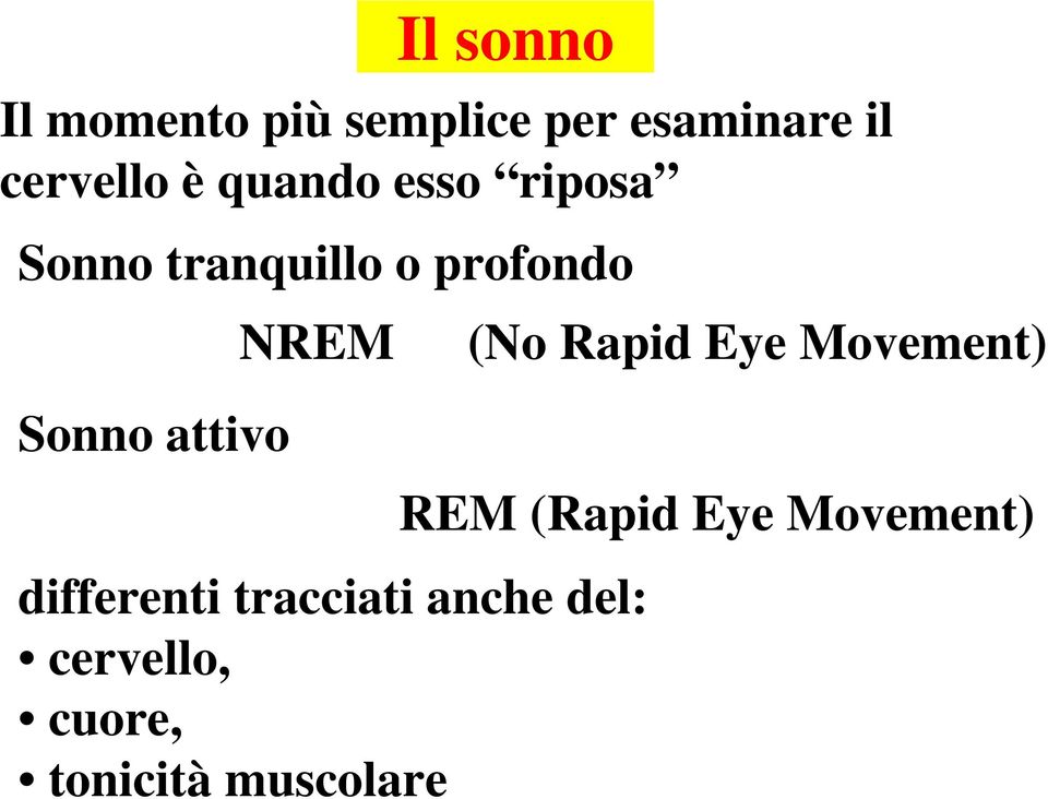 NREM differenti tracciati anche del: cervello, cuore,