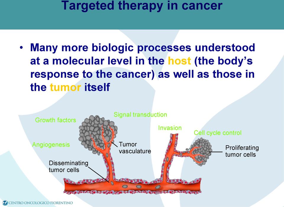 those in the tumor itself Growth factors Angiogenesis Disseminating tumor cells
