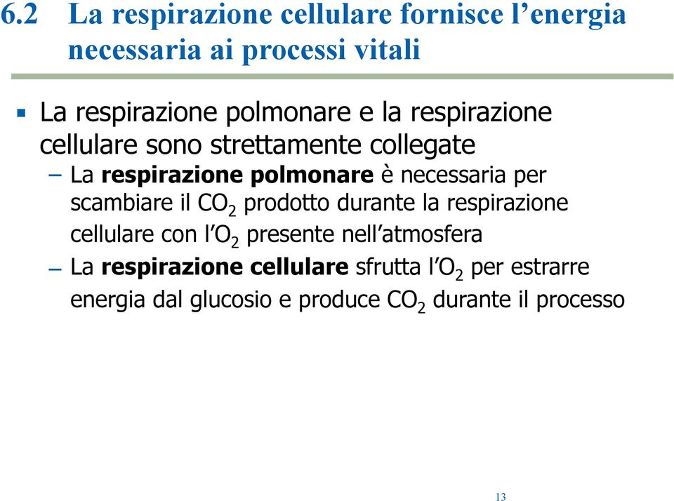 necessaria per scambiare il CO 2 prodotto durante la respirazione cellulare con l O 2 presente nell