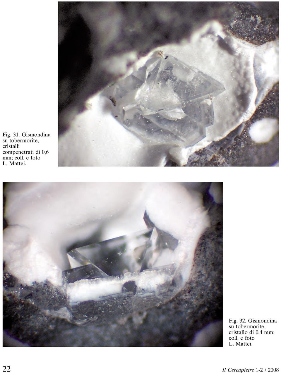 di 0,6 mm; coll. e foto L. Mattei. Fig. 32.