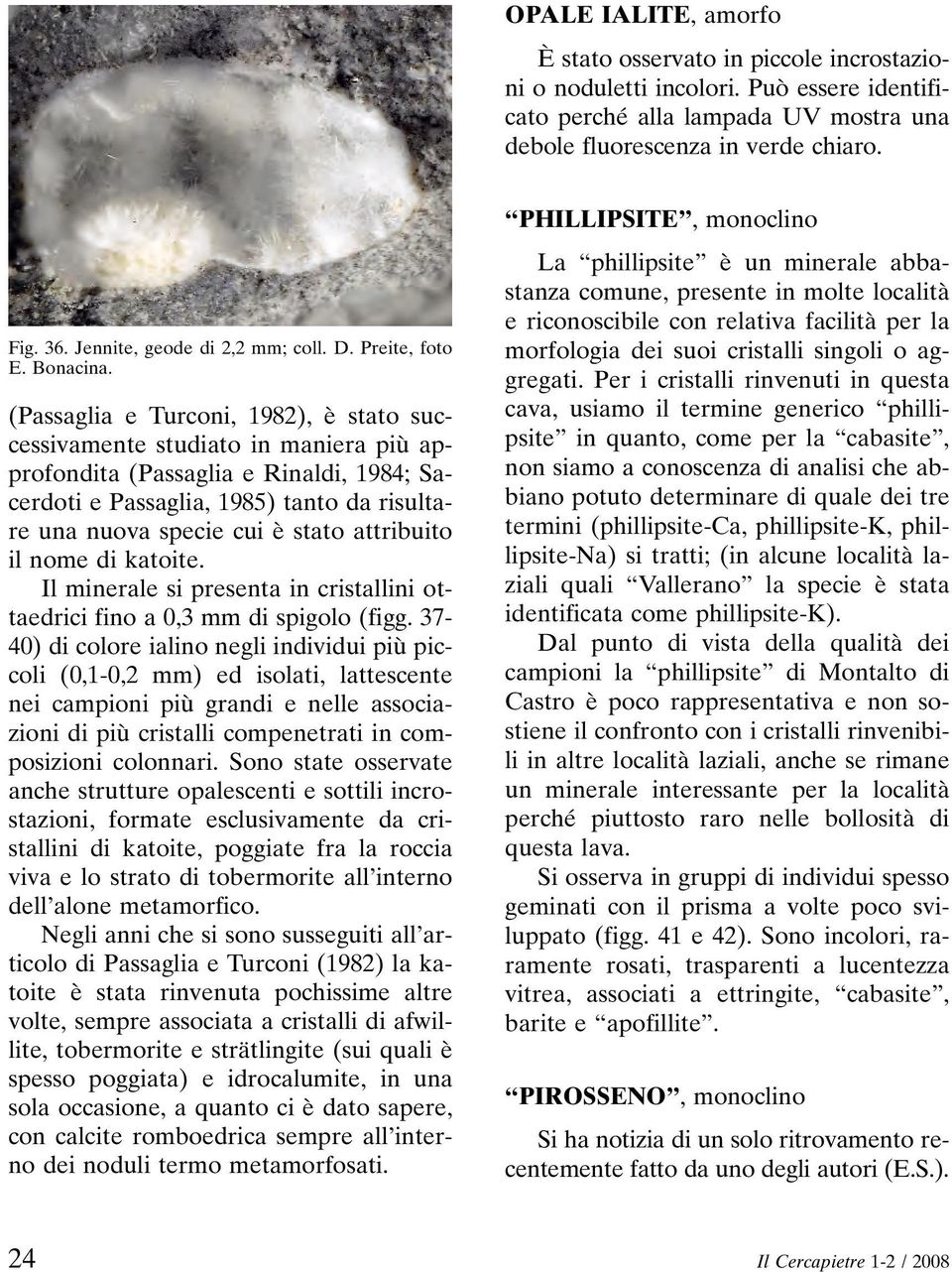 (Passaglia e Turconi, 1982), è stato successivamente studiato in maniera più approfondita (Passaglia e Rinaldi, 1984; Sacerdoti e Passaglia, 1985) tanto da risultare una nuova specie cui è stato