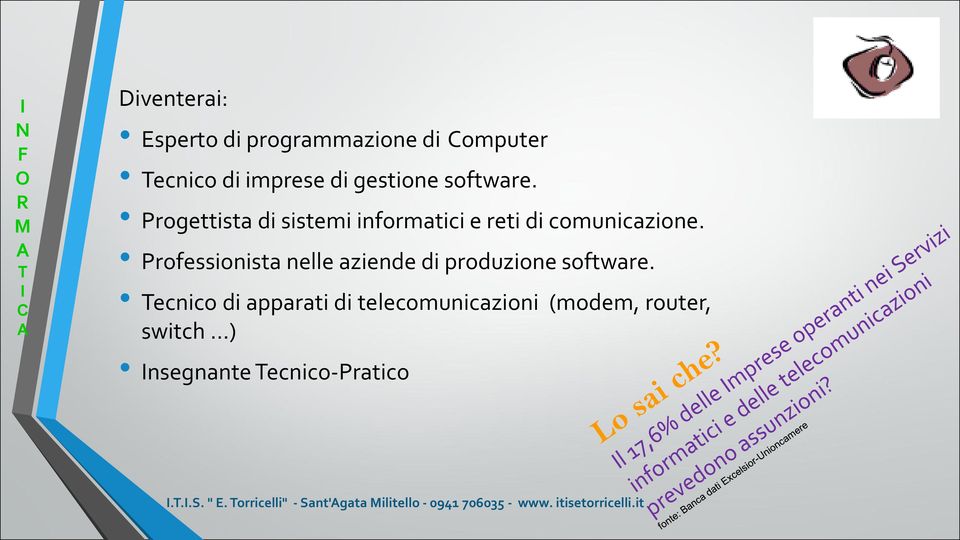 Progettista di sistemi informatici e reti di comunicazione.