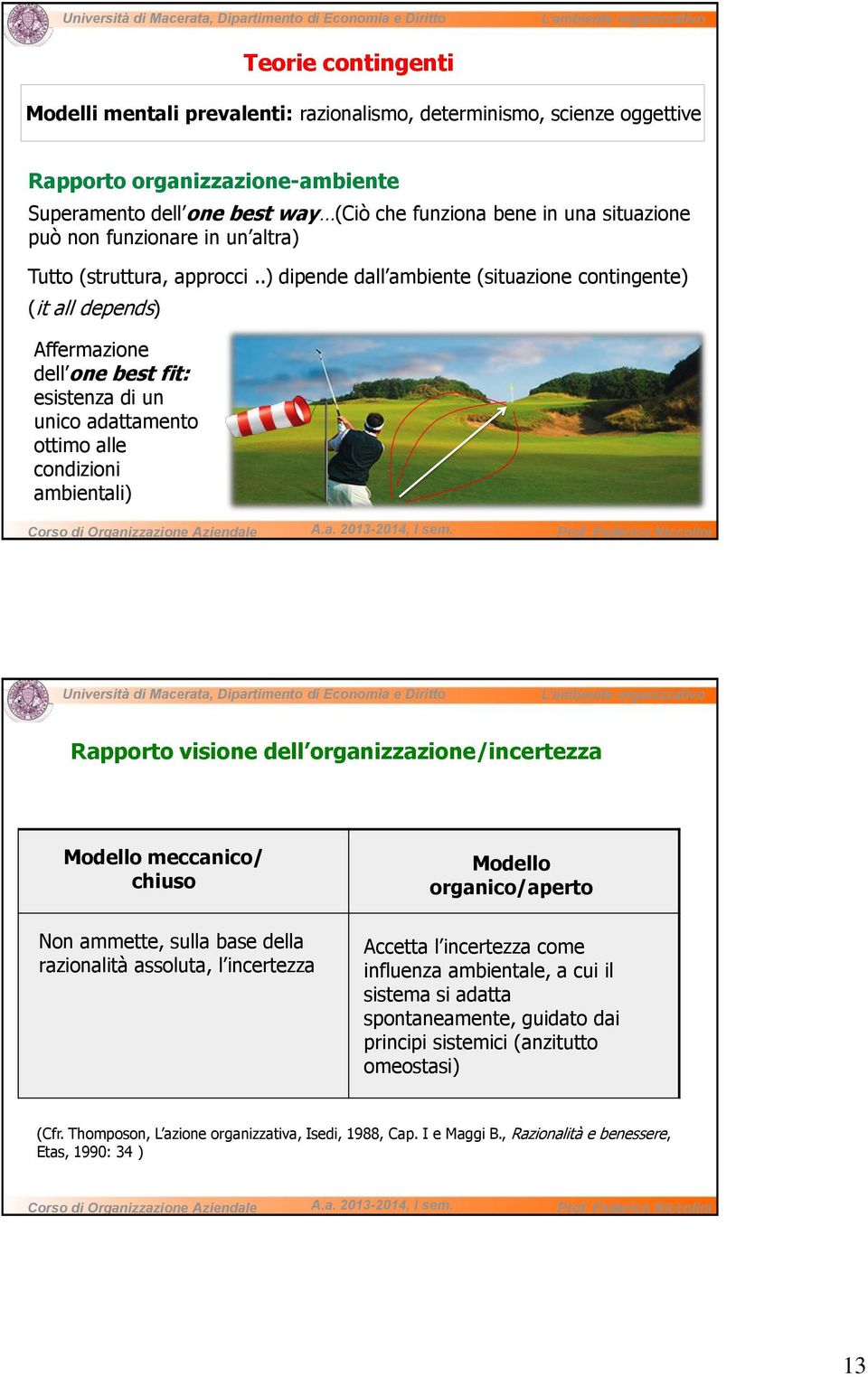 .) dipende dall ambiente (situazione contingente) (it all depends) Affermazione dell one best fit: esistenza di un unico adattamento ottimo alle condizioni ambientali) Rapporto visione dell