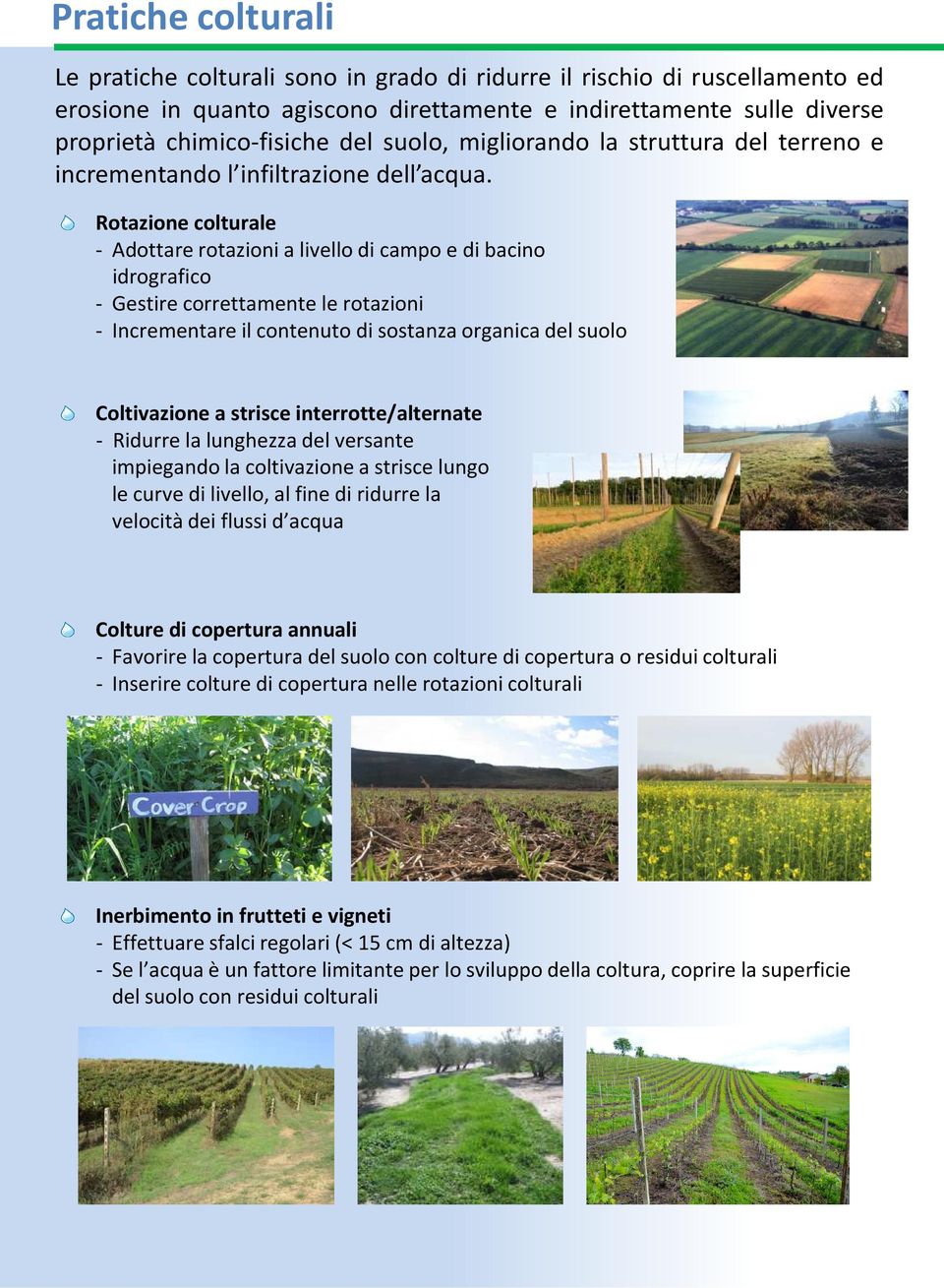 Rotazione colturale - Adottare rotazioni a livello di campo e di bacino idrografico - Gestire correttamente le rotazioni - Incrementare il contenuto di sostanza organica del suolo Coltivazione a