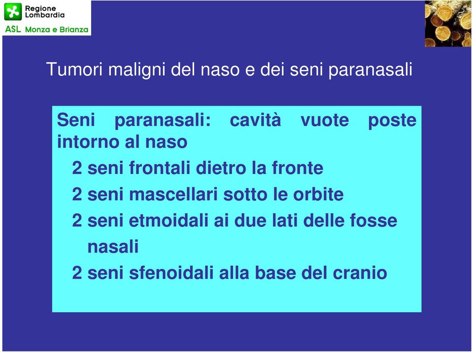 fronte 2 seni mascellari sotto le orbite 2 seni etmoidali ai