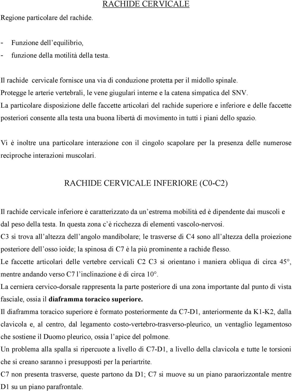 La particolare disposizione delle faccette articolari del rachide superiore e inferiore e delle faccette posteriori consente alla testa una buona libertà di movimento in tutti i piani dello spazio.