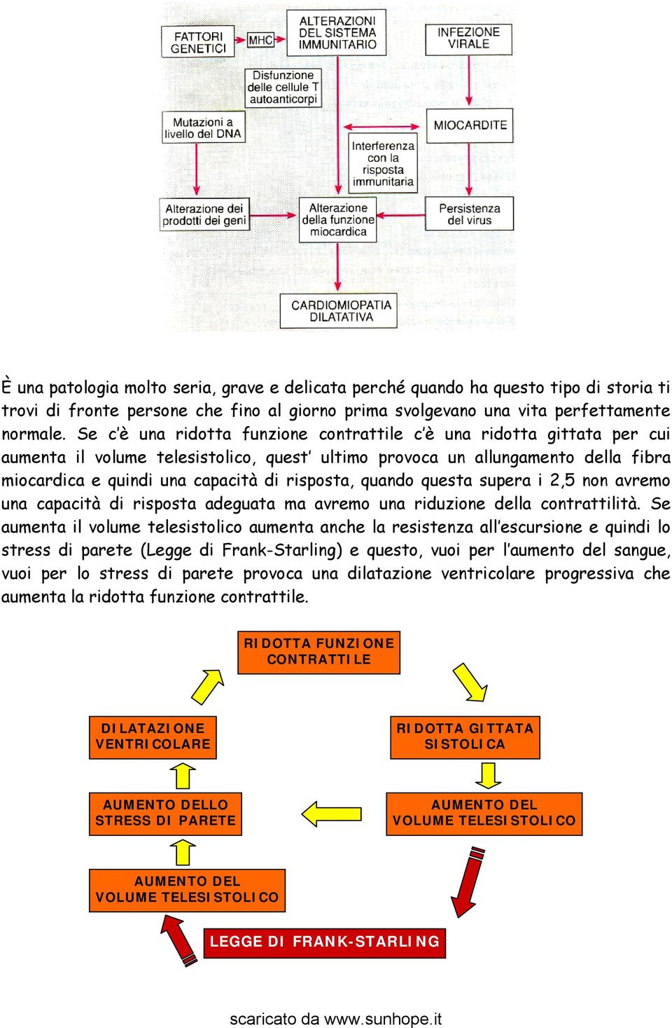 quando questa supera i 2,5 non avremo una capacità di risposta adeguata ma avremo una riduzione della contrattilità.