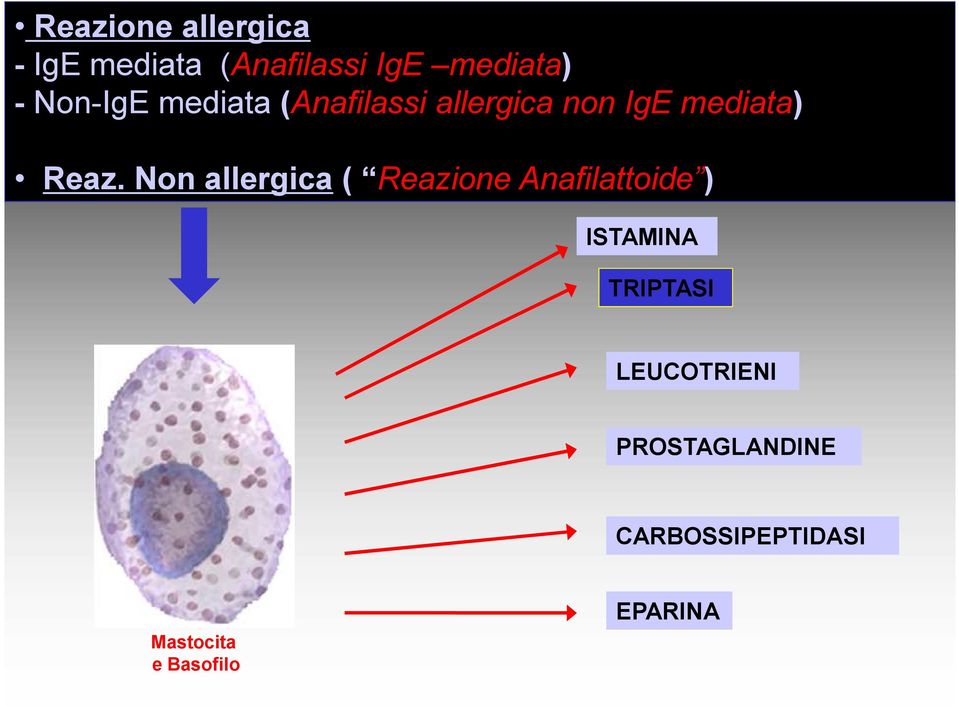 Non allergica ( Reazione Anafilattoide ) ISTAMINA TRIPTASI