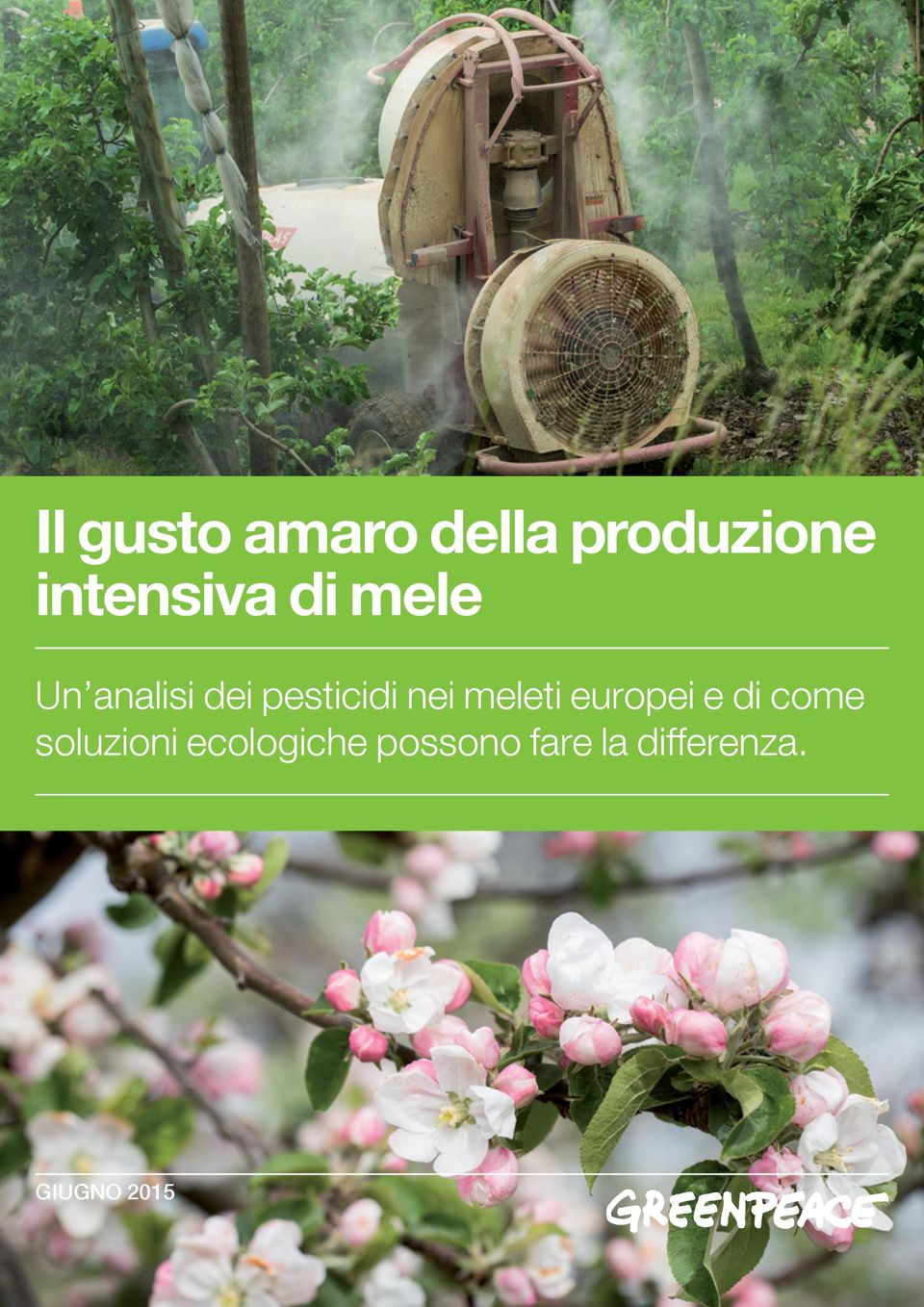 soluzioni ecologiche possono