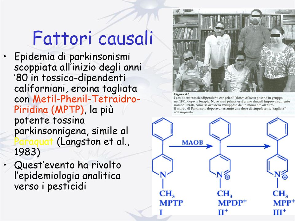 Piridina (MPTP), la più potente tossina parkinsonnigena, simile al Paraquat