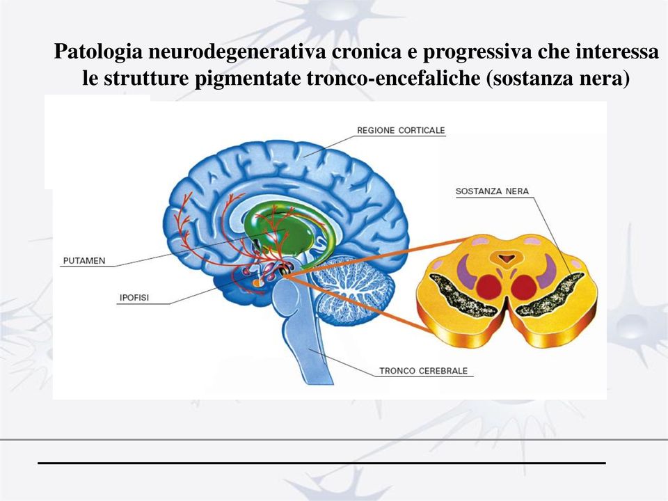 interessa le strutture