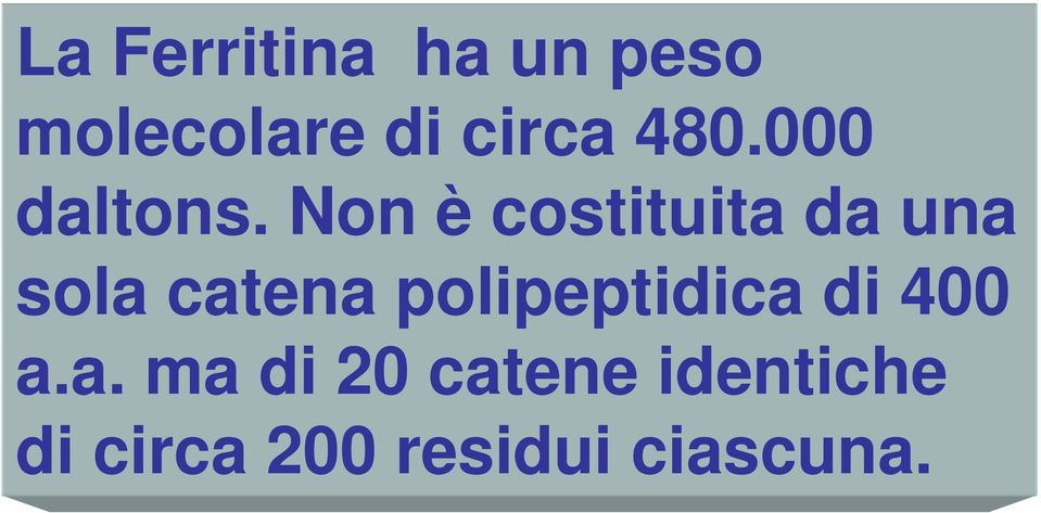 Non è costituita da una sola catena