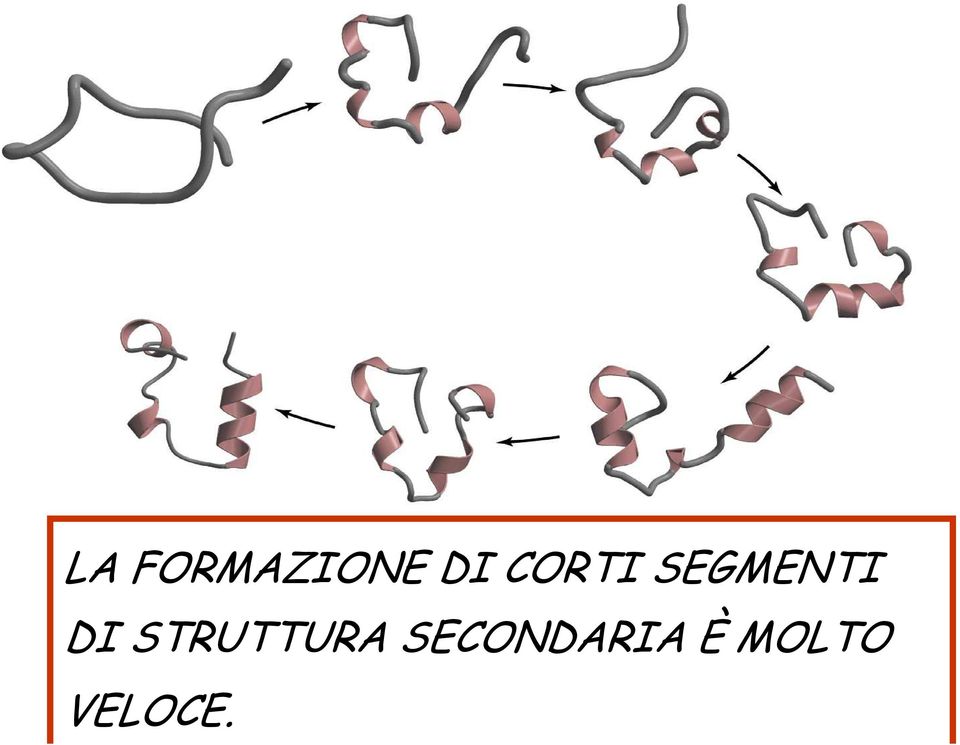 STRUTTURA