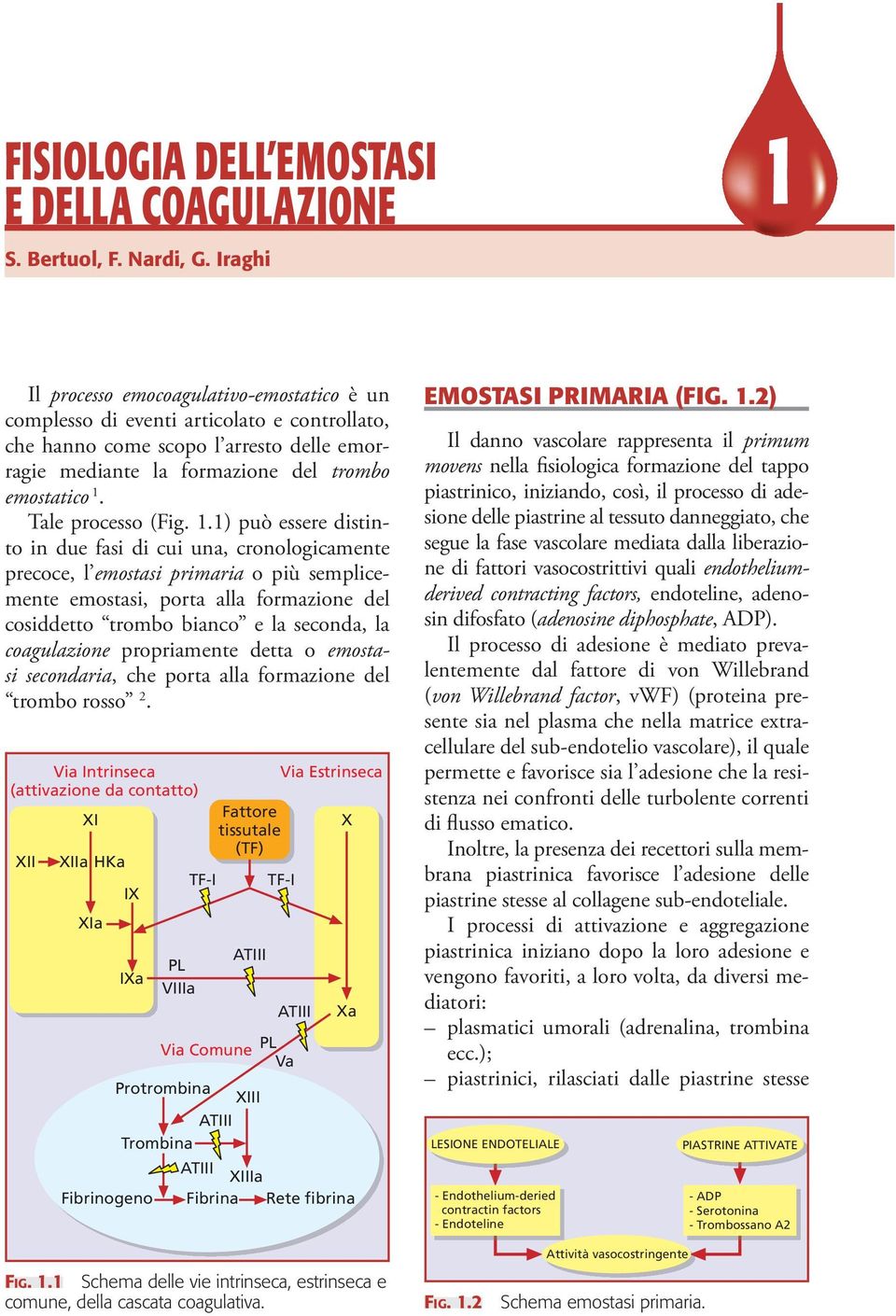 Tale processo (Fig. 1.