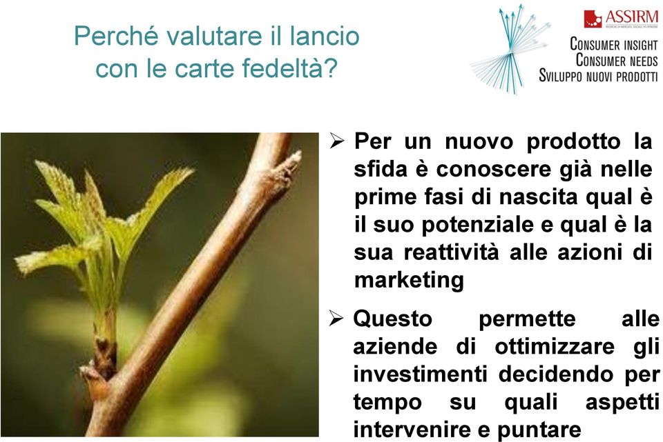 è il suo potenziale e qual è la sua reattività alle azioni di marketing Questo