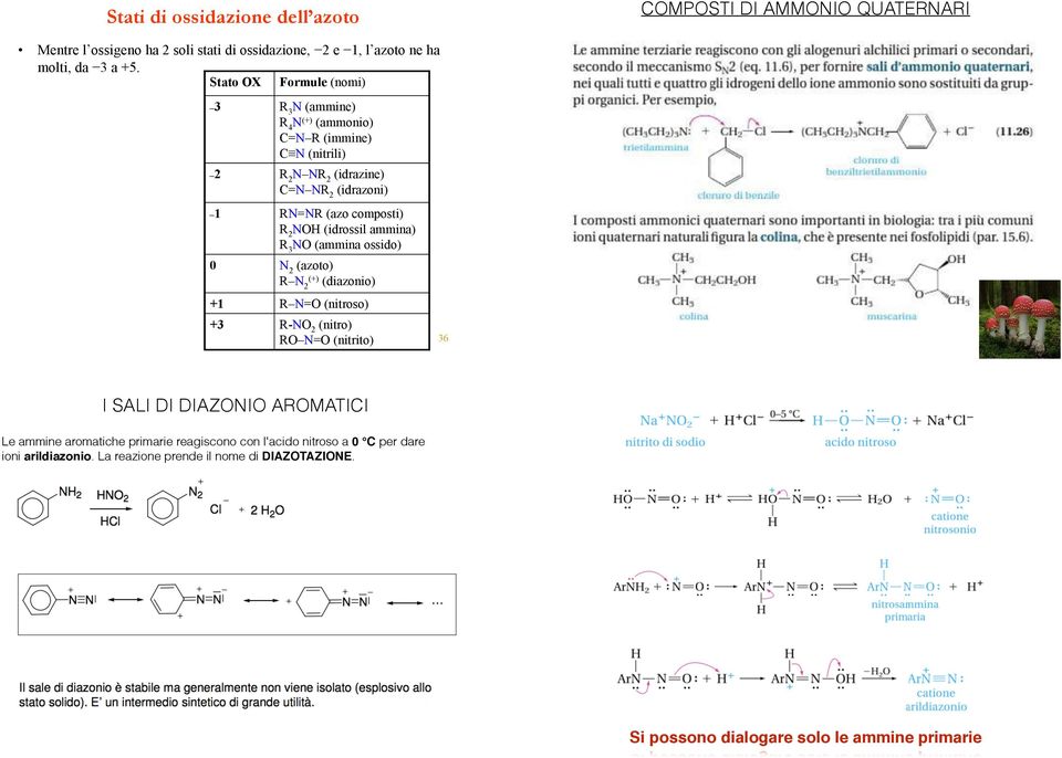 ammina) 3 (ammina ossido) 0 2 (azoto) 2(+) (diazonio) +1 = (nitroso) +3-2 (nitro) = (nitrito) 36 I SALI DI DIAZI AMATICI Le ammine aromatiche