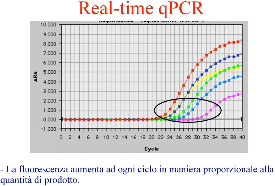 ogni ciclo in maniera