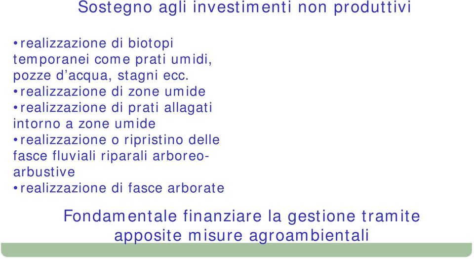 realizzazione di zone umide realizzazione di prati allagati intorno a zone umide realizzazione