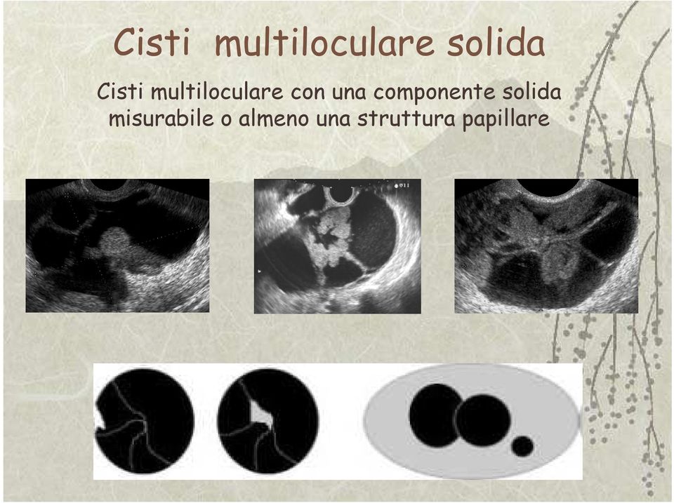 componente solida misurabile