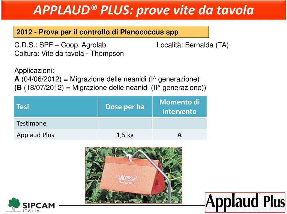 (04/06/2012) = Migrazione delle neanidi (I^ generazione) (B (18/07/2012) = Migrazione delle