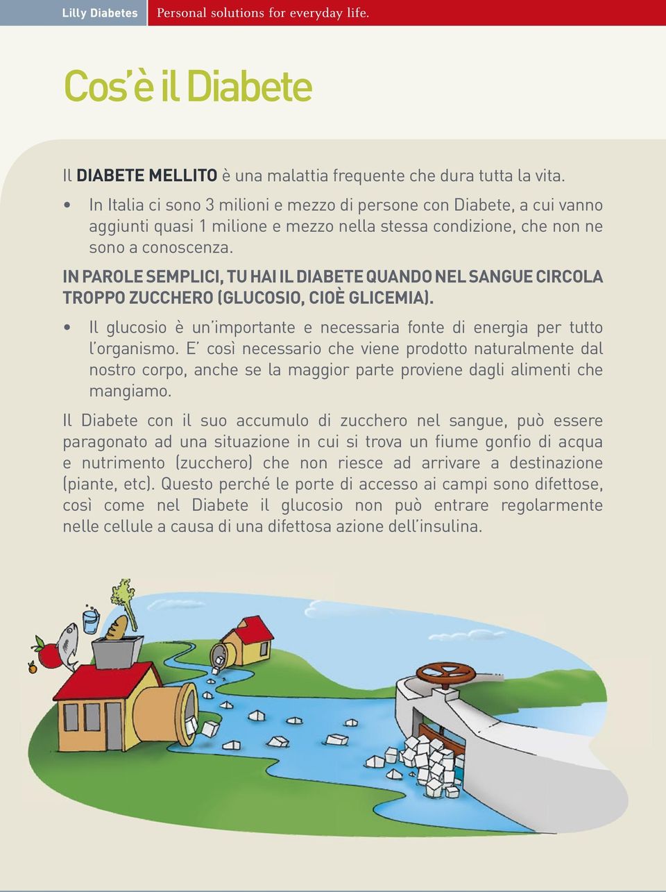 IN PAROLE SEMPLICI, TU HAI IL DIABETE QUANDO NEL SANGUE CIRCOLA TROPPO ZUCCHERO (GLUCOSIO, CIOÈ GLICEMIA). Il glucosio è un importante e necessaria fonte di energia per tutto l organismo.