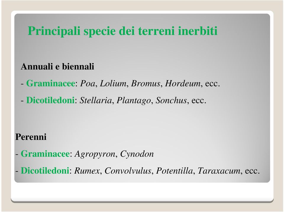 - Dicotiledoni: Stellaria, Plantago, Sonchus, ecc.