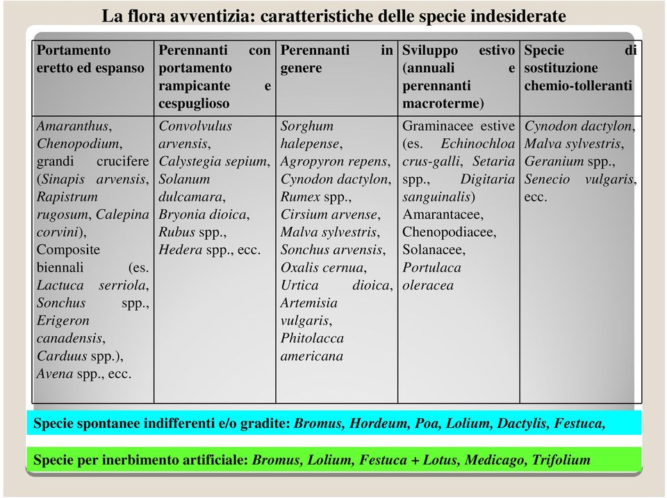 Lactuca serriola, Sonchus spp., Erigeron canadensis, Carduus spp.), Avena spp., ecc. Convolvulus arvensis, Calystegia sepium, Solanum dulcamara, Bryonia dioica, Rubus spp., Hedera spp., ecc. Sorghum halepense, Agropyron repens, Cynodon dactylon, Rumex spp.