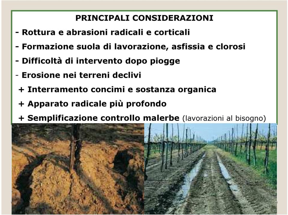 Erosione nei terreni declivi + Interramento concimi e sostanza organica + Apparato