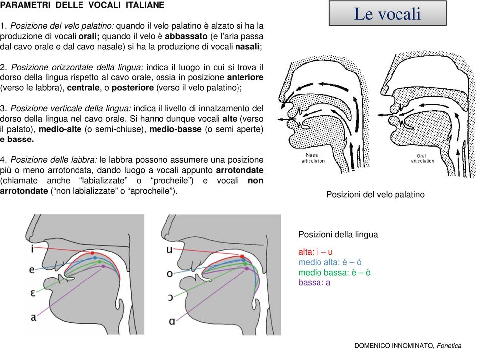 vocali nasali; Le vocali 2.