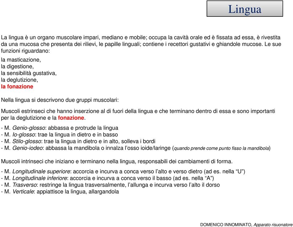 Le sue funzioni riguardano: la masticazione, la digestione, la sensibilità gustativa, la deglutizione, la fonazione Nella lingua si descrivono due gruppi muscolari: Muscoli estrinseci che hanno
