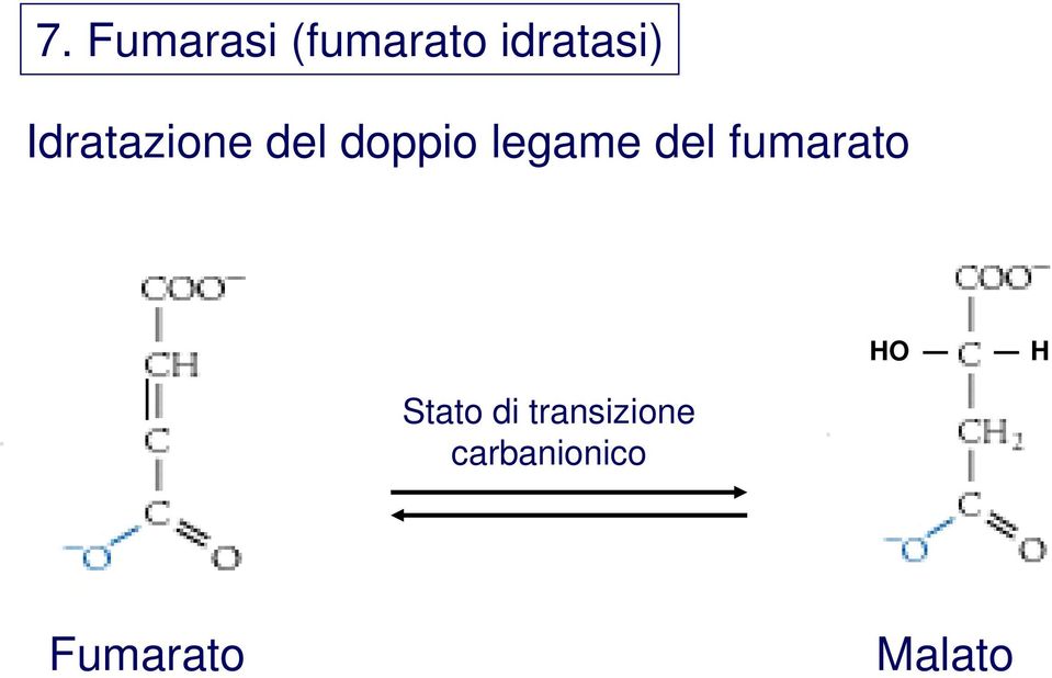 del fumarato HO H Stato di