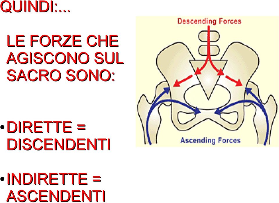 AGISCONO SUL SACRO