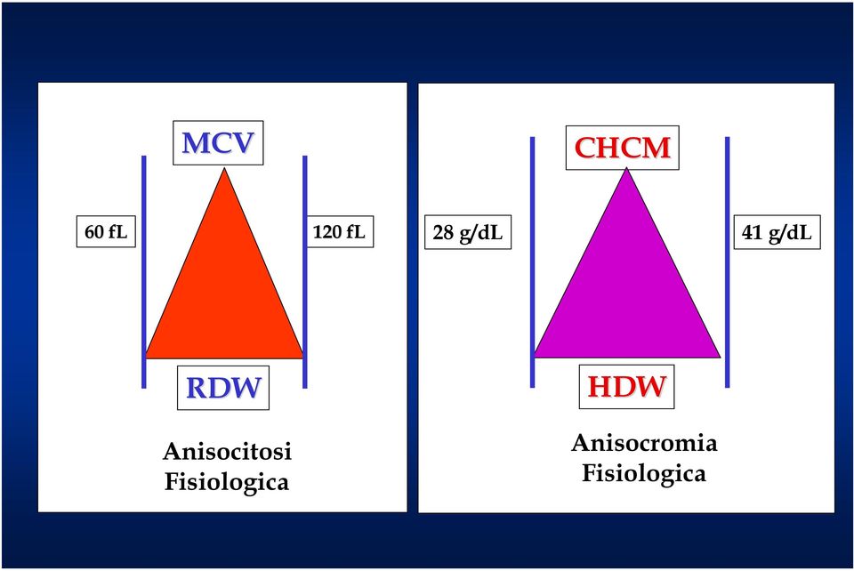 Anisocitosi Fisiologica