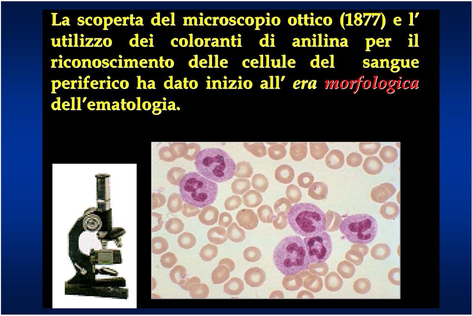 riconoscimento delle cellule del sangue