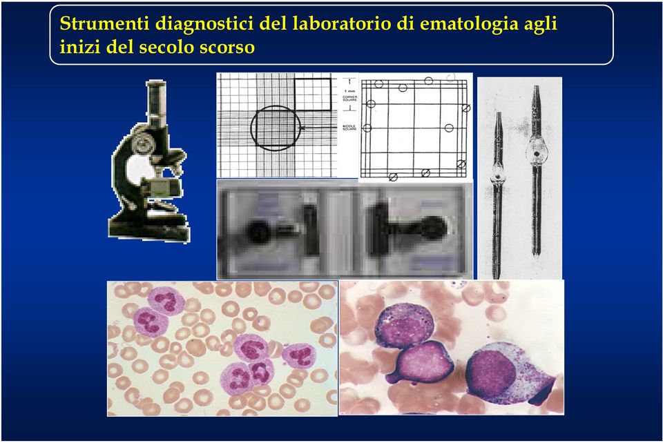 laboratorio di