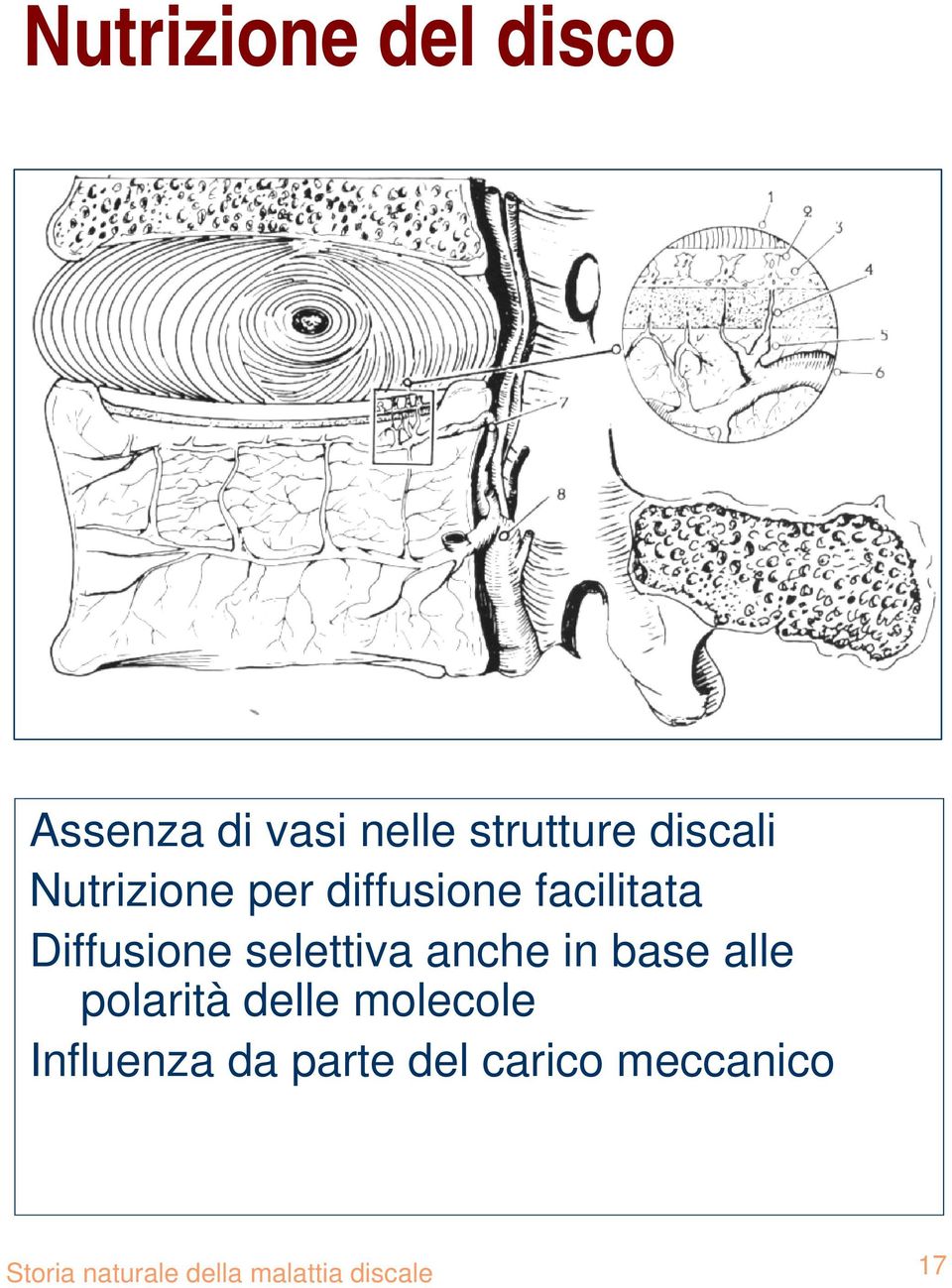 anche in base alle polarità delle molecole Influenza da