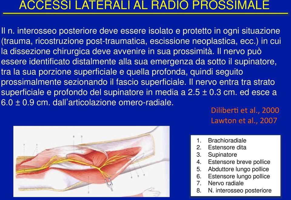 Il nervo può essere identificato distalmente alla sua emergenza da sotto il supinatore, tra la sua porzione superficiale e quella profonda, quindi seguito prossimalmente sezionando il fascio