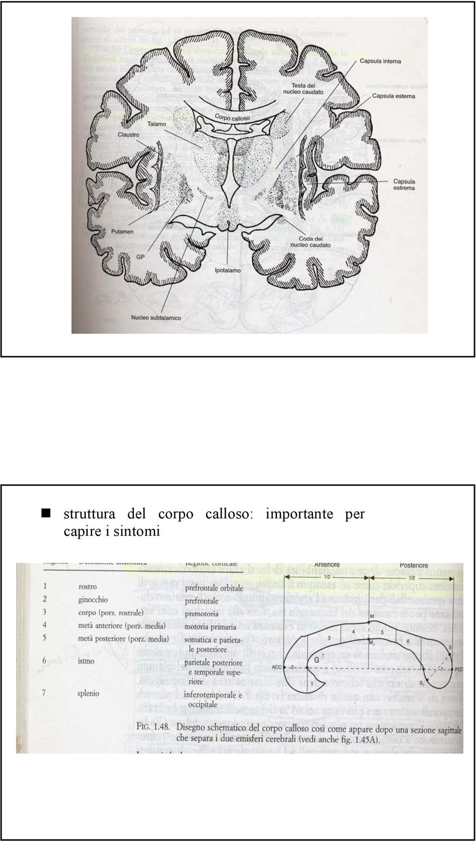 importante per