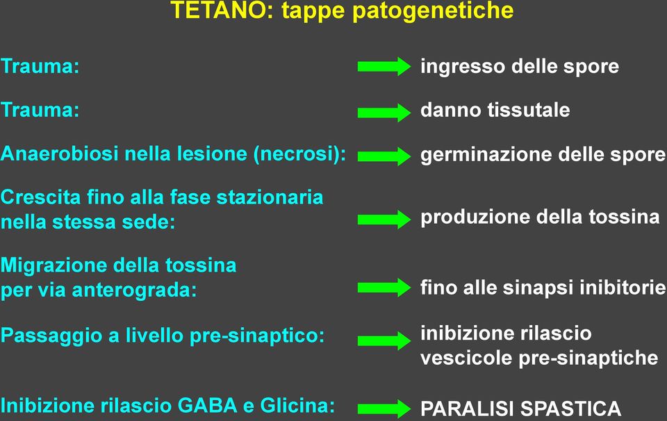 pre-sinaptico: Inibizione rilascio GABA e Glicina: ingresso delle spore danno tissutale germinazione delle