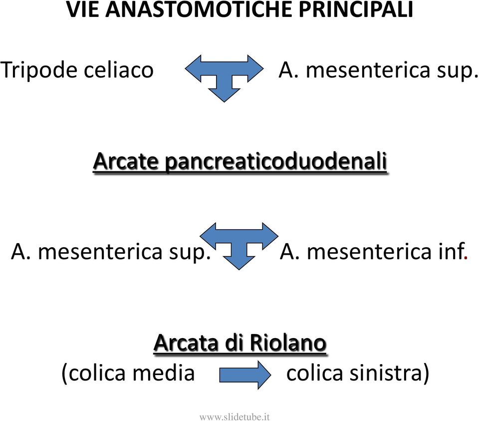 Arcate pancreaticoduodenali  A.