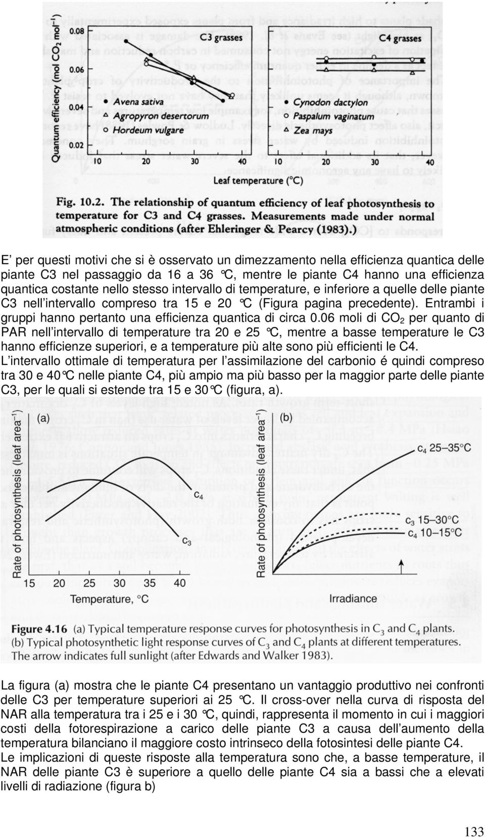 06 moli di CO 2 per quanto di PAR nell intervallo di temperature tra 20 e 25 C, mentre a basse temperature le C3 hanno efficienze superiori, e a temperature più alte sono più efficienti le C4.