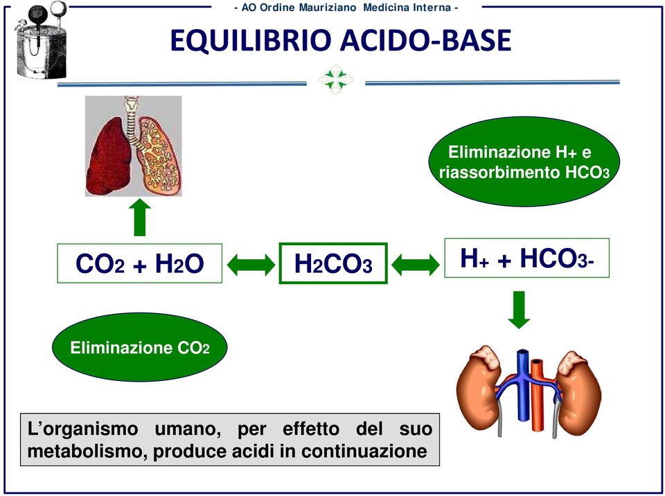 Eliminazione CO2 L organismo umano, per