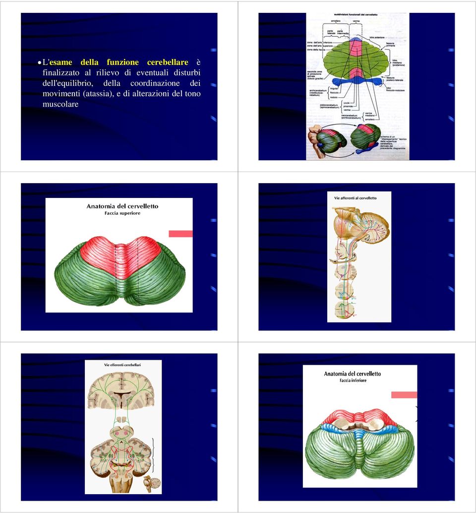 dell'equilibrio, della coordinazione dei